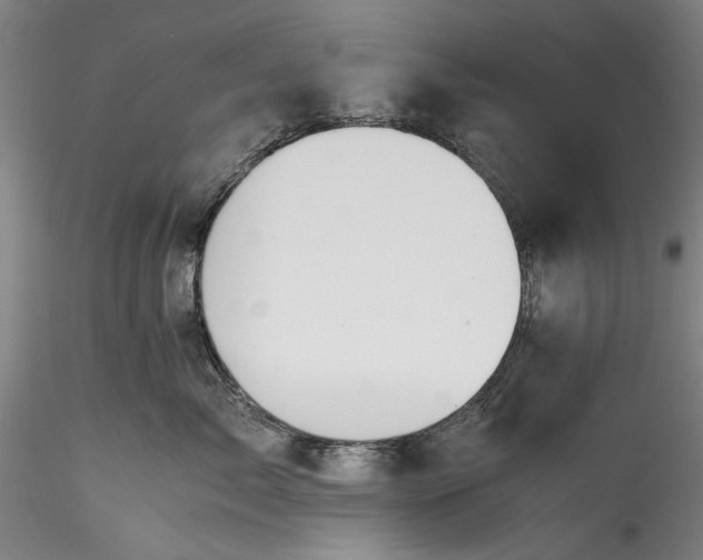 X0000115800717200911271250