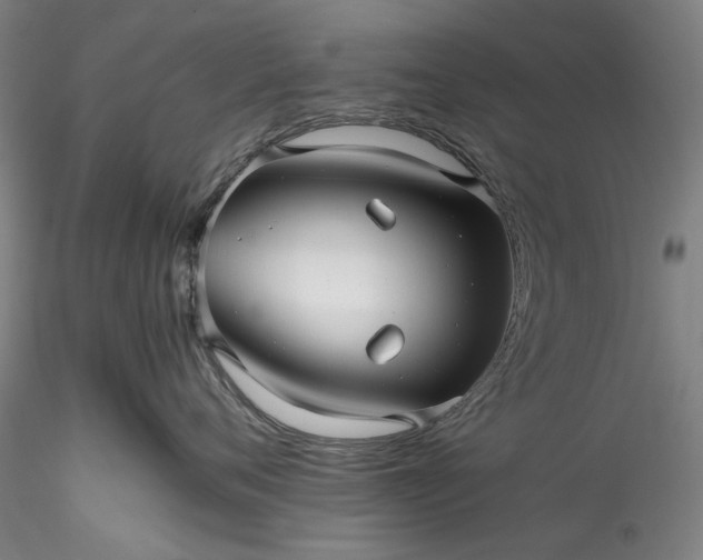 X0000115800720200911271250