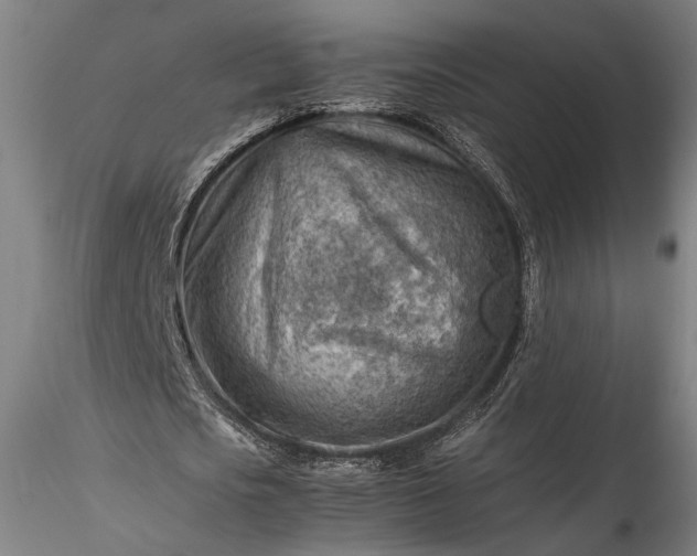 X0000115800721200911271250