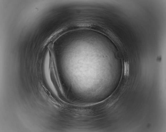 X0000115800723200911271250