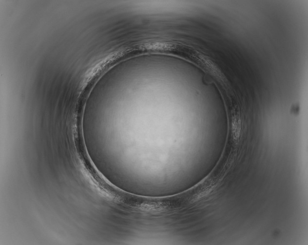 X0000115800725200911271250