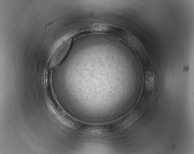 X0000115800726200911271250