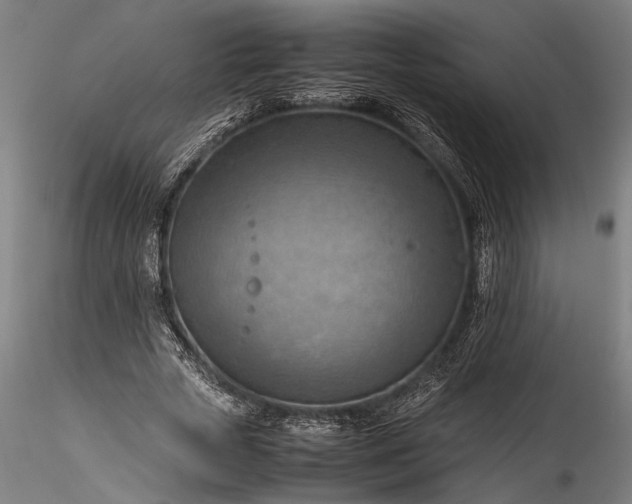 X0000115800729200911271250