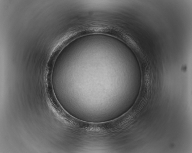 X0000115800730200911271250