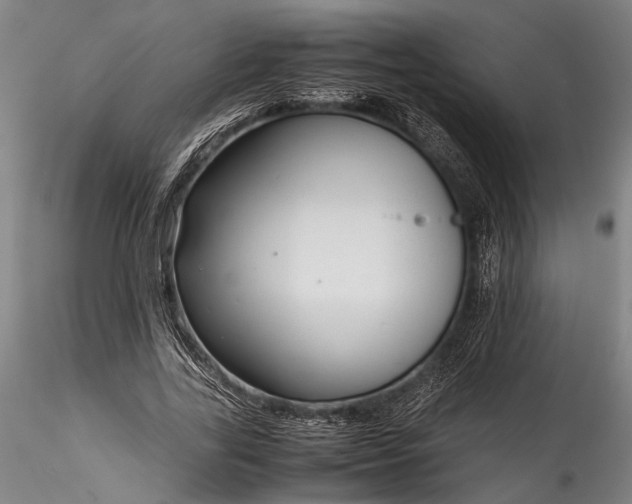 X0000115800731200911271250