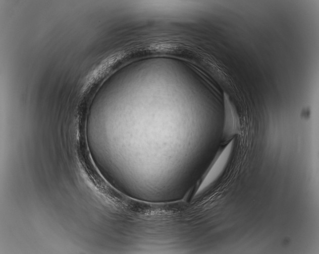 X0000115800734200911271250