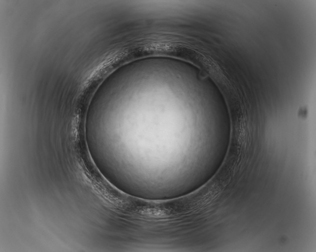 X0000115800735200911271250