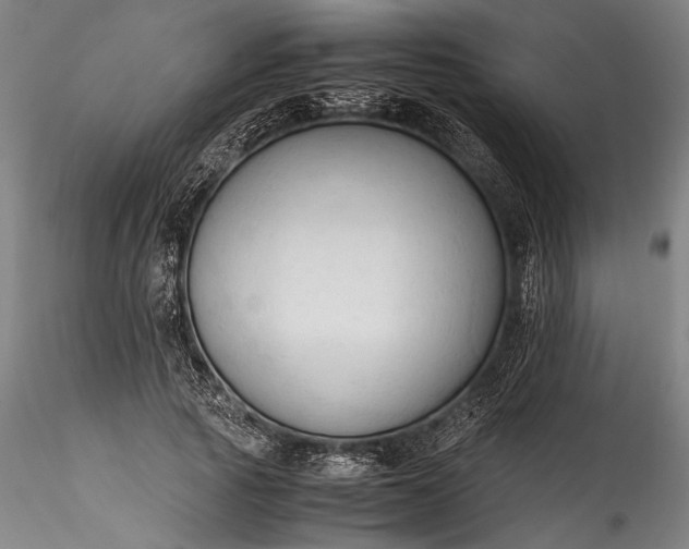 X0000115800737200911271250