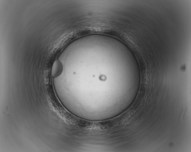 X0000115800738200911271250