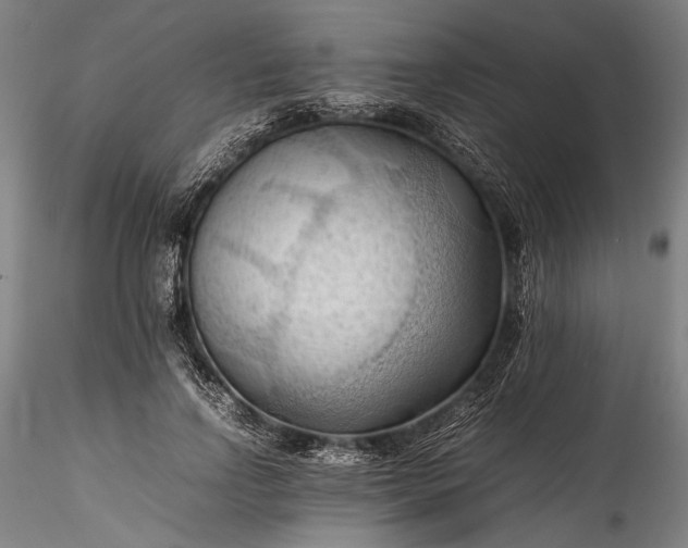 X0000115800742200911271250