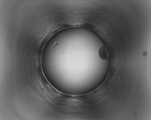 X0000115800743200911271250