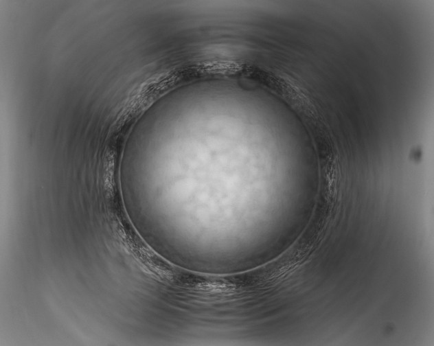 X0000115800745200911271250