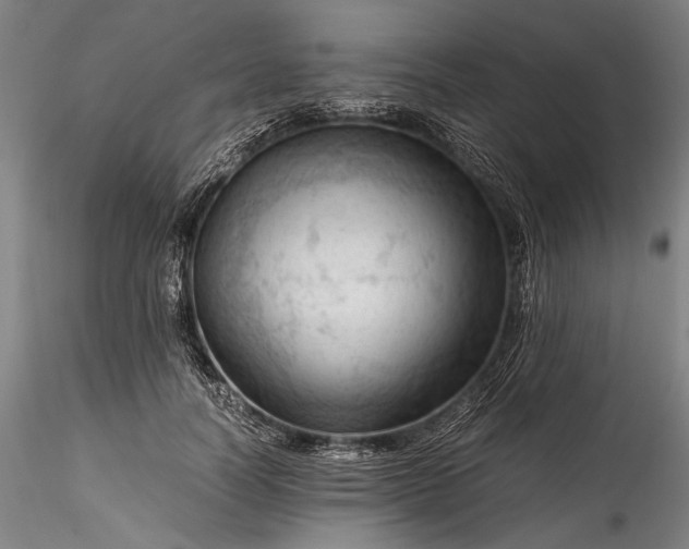 X0000115800746200911271250