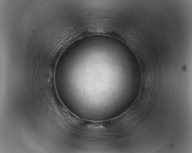 X0000115800747200911271250