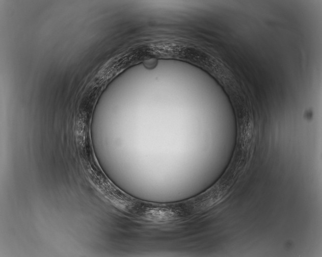 X0000115800749200911271250