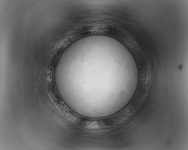 X0000115800755200911271250