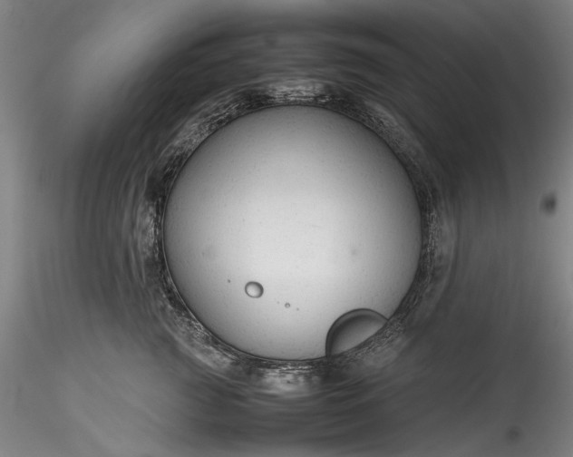 X0000115800761200911271250