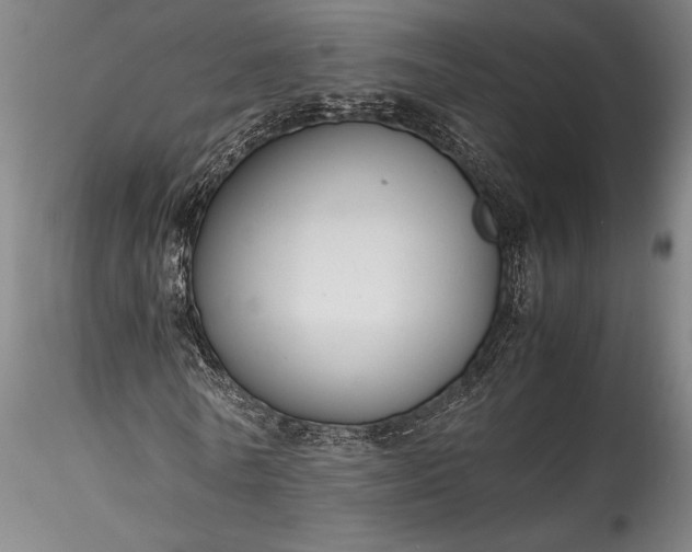 X0000115800770200911271250