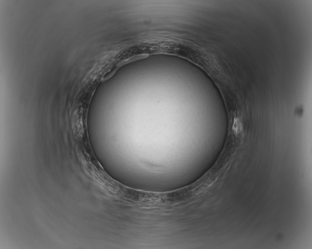 X0000115800771200911271250