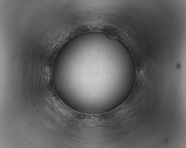 X0000115800772200911271250