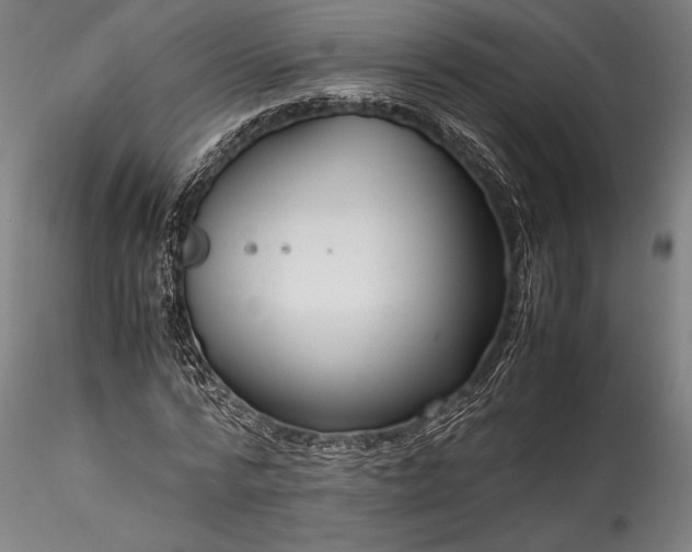 X0000115800776200911271250