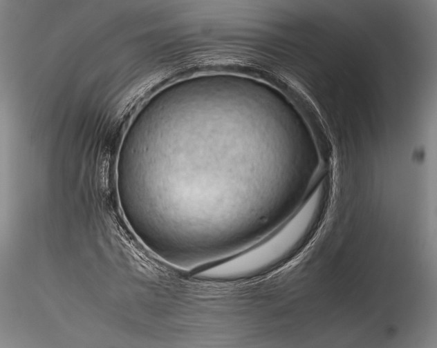 X0000115800777200911271250