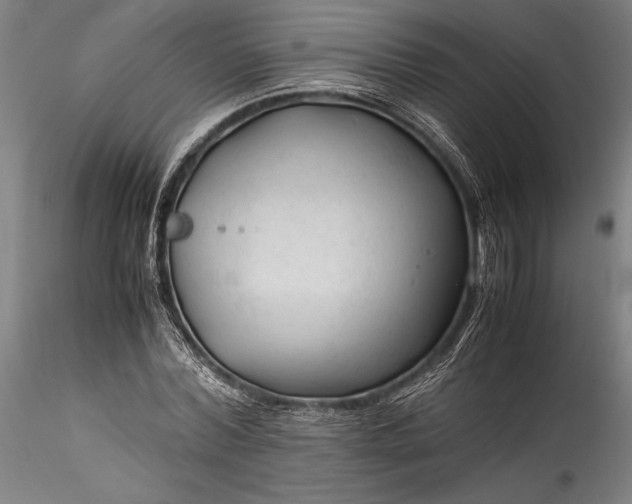 X0000115800780200911271250