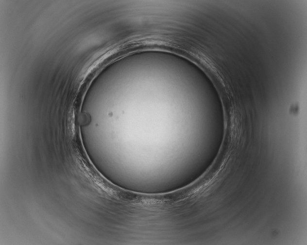 X0000115800782200911271249
