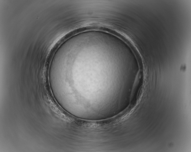 X0000115800783200911271249