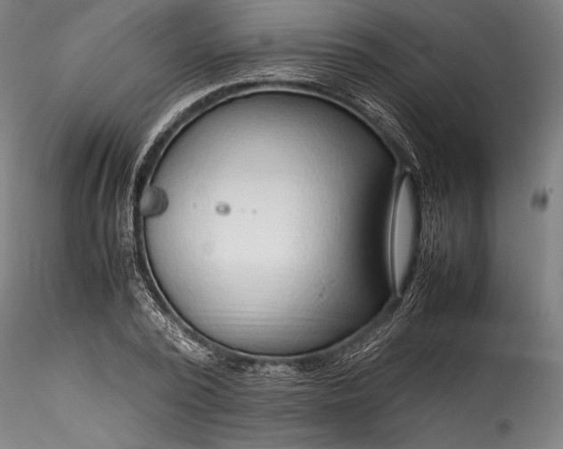 X0000115800784200911271249