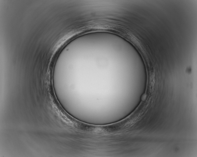X0000115800787200911271249
