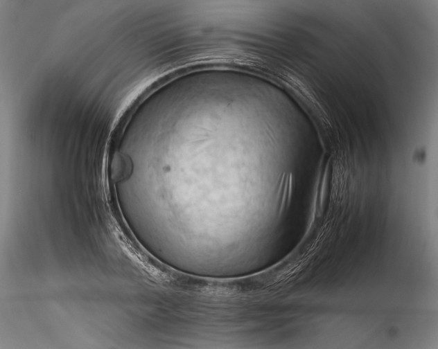 X0000115800788200911271249
