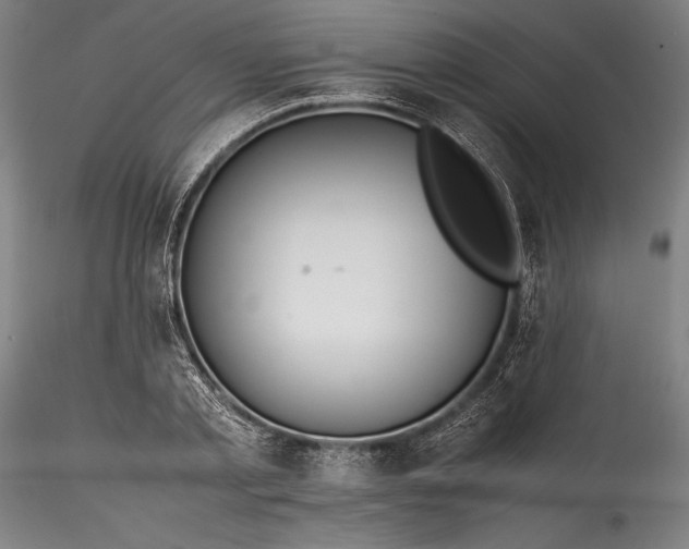 X0000115800789200911271249