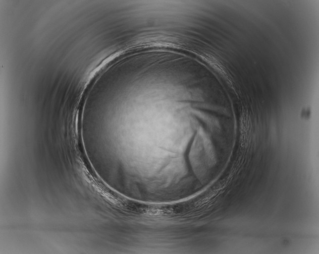 X0000115800790200911271249