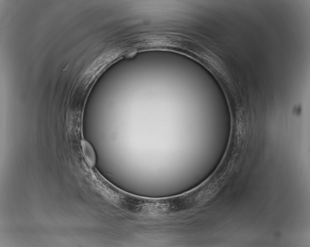 X0000115800793200911271249