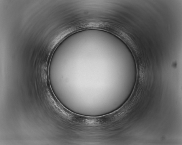 X0000115800794200911271249