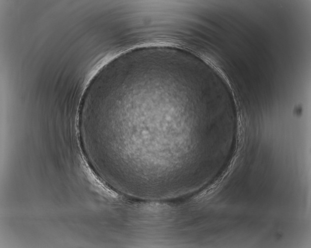 X0000115800797200911271249