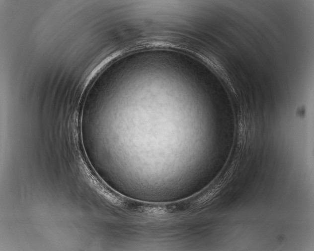 X0000115800798200911271249