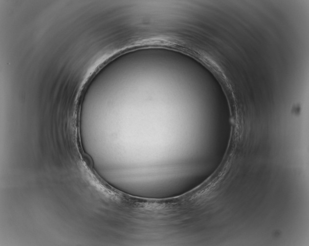 X0000115800800200911271249