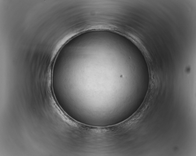 X0000115800804200911271249