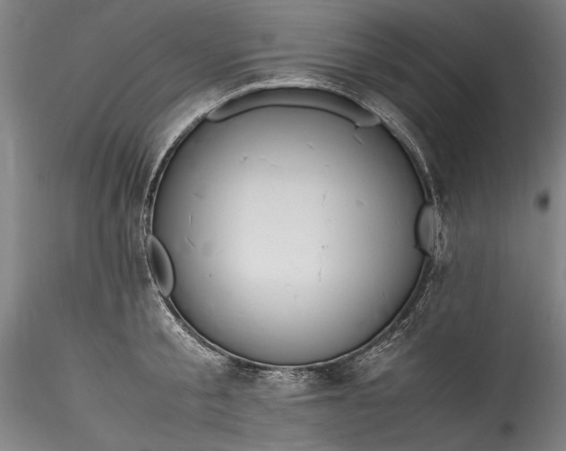 X0000115800805200911271249