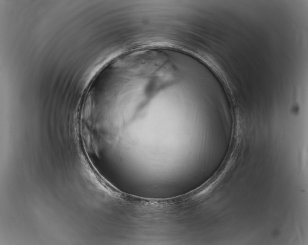 X0000115800806200911271249