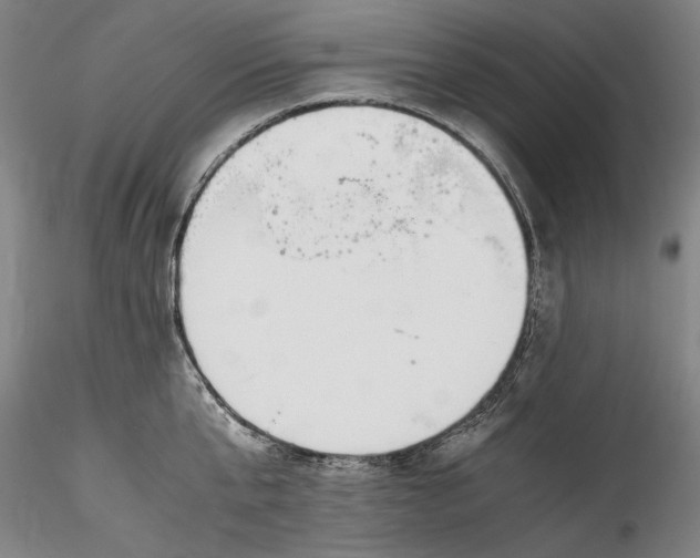 X0000115800807200911271249