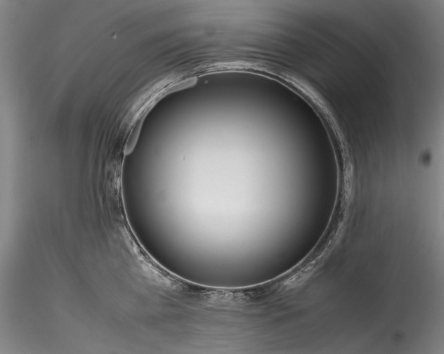 X0000115800809200911271249