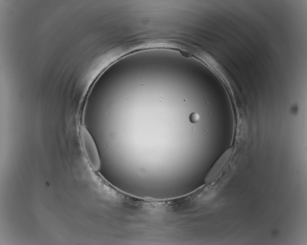 X0000115800813200911271249