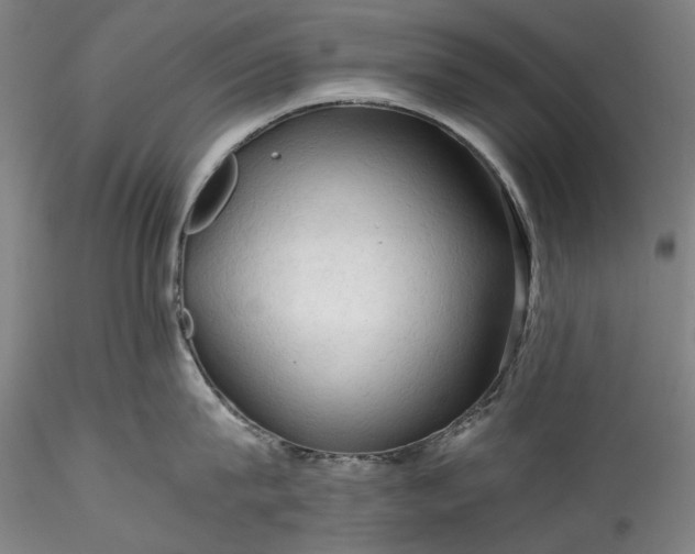 X0000115800815200911271249