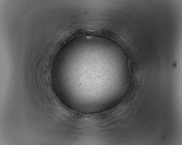 X0000115800817200911271248