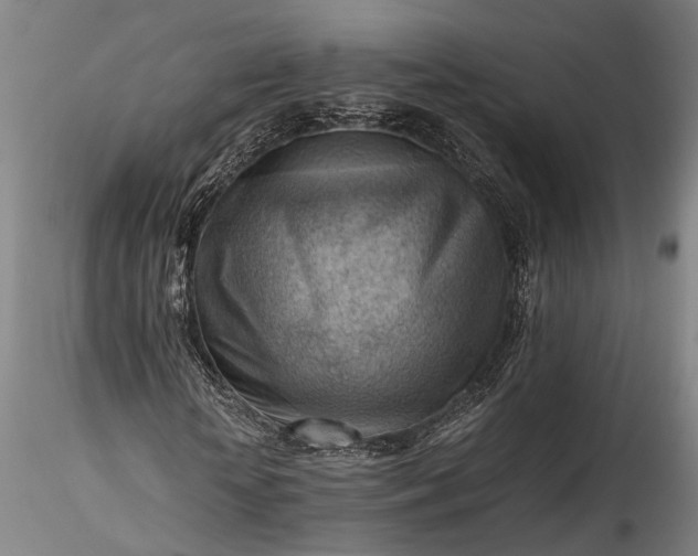 X0000115800818200911271248