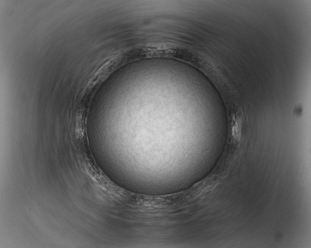 X0000115800819200911271248