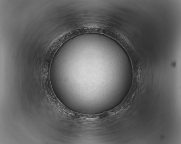 X0000115800821200911271248